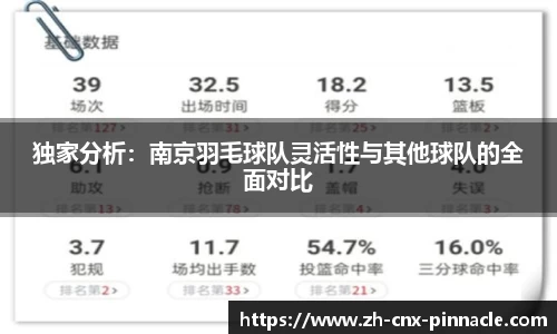 独家分析：南京羽毛球队灵活性与其他球队的全面对比